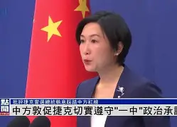 瑞士血战捷克，意气风发向前迈进的简单介绍