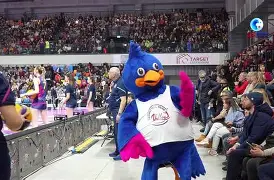 关于意甲赛场上演胜利传奇，球队士气飙升的信息